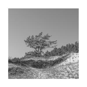 鉴黄师污版下载
